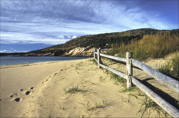 The Maine coastline